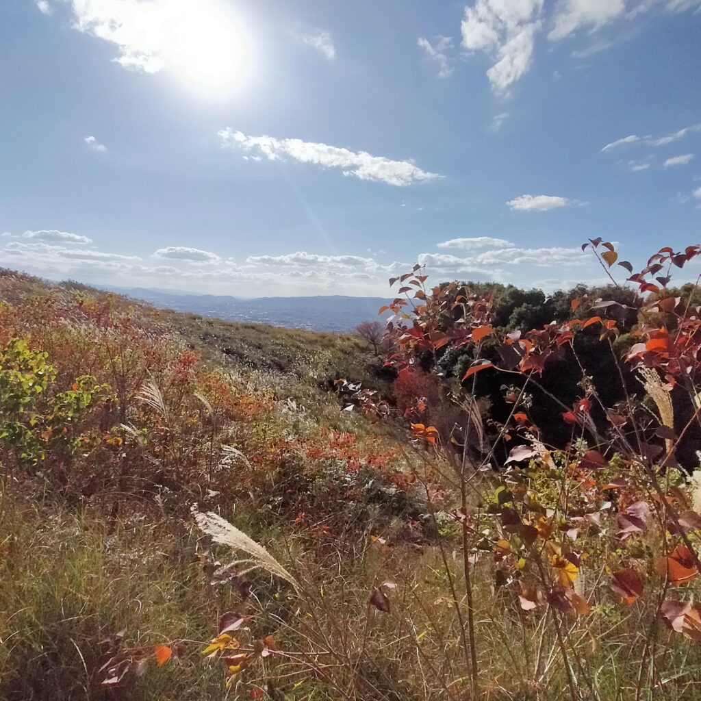 秋の若草山